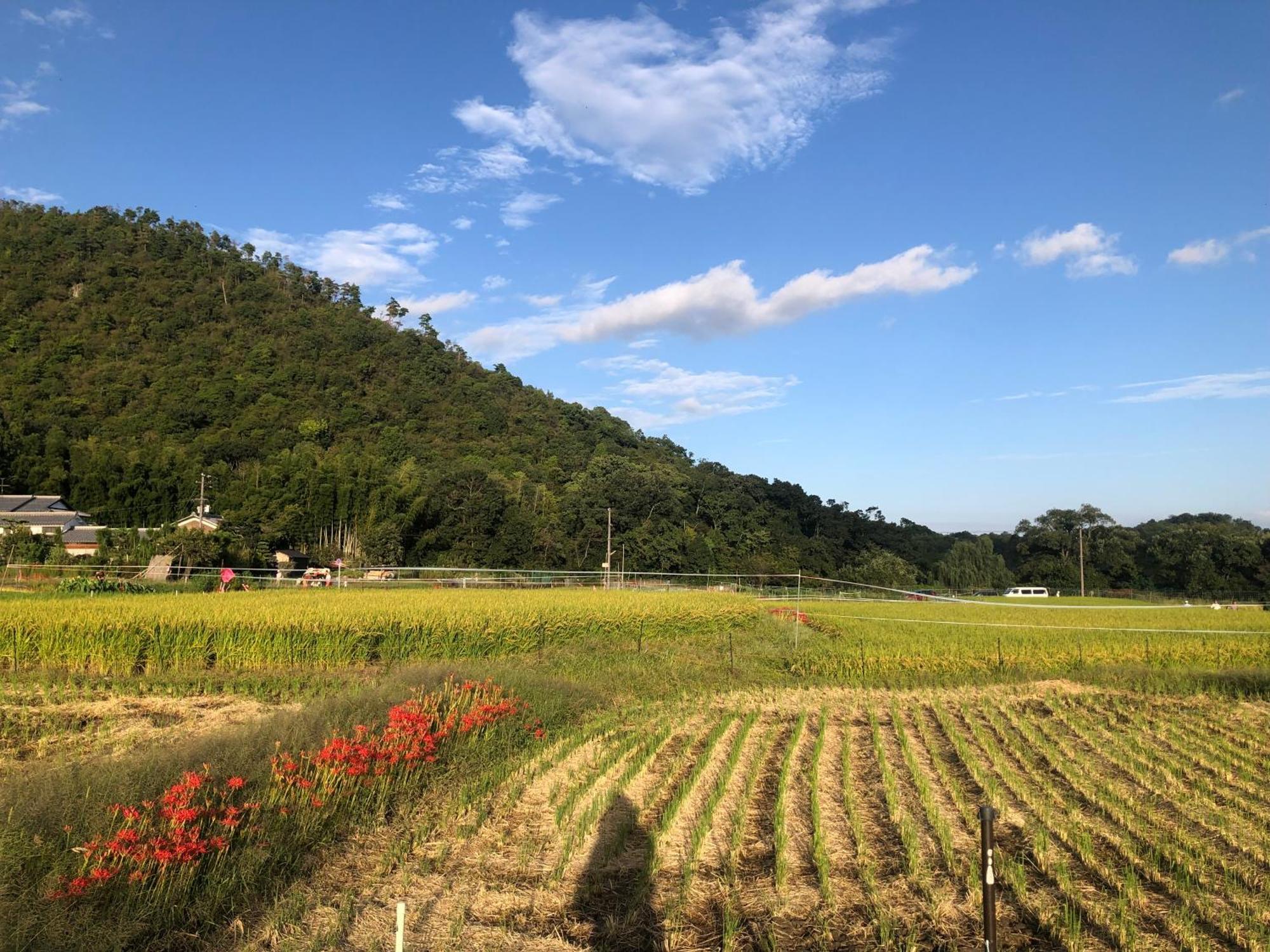 Tsubame-Ya Quioto Exterior foto
